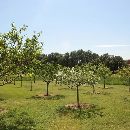 Hétvégi ház Masia Rural Poch