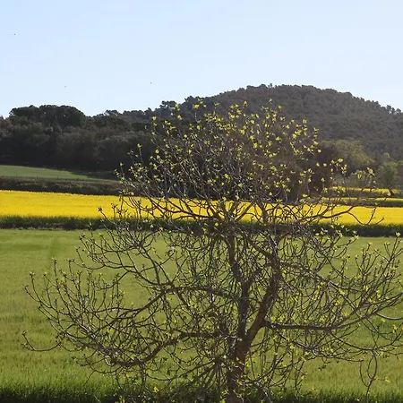 Masia Rural Poch Landhaus *